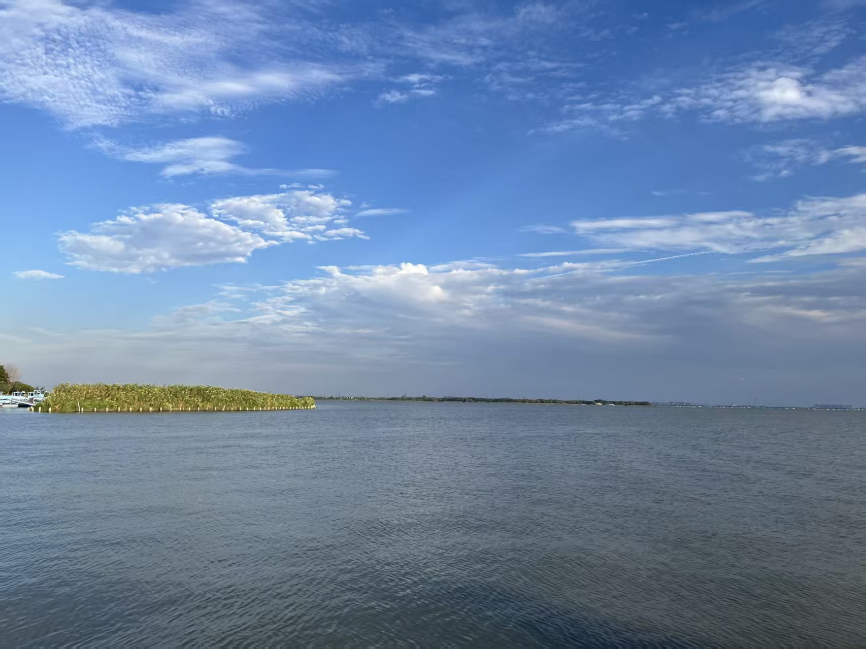 A lake and reeds beneath a blue sky with white clouds